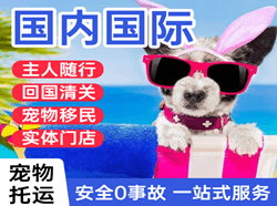 白塔机场物流国际宠物托运 【国